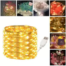LED Fairy Lights. FREE GIFT